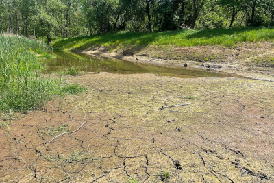 Ein ausgetrocknetes Flussufer